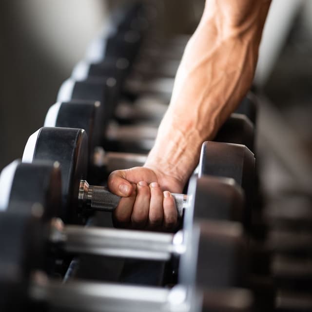 Why Gymzi 2
